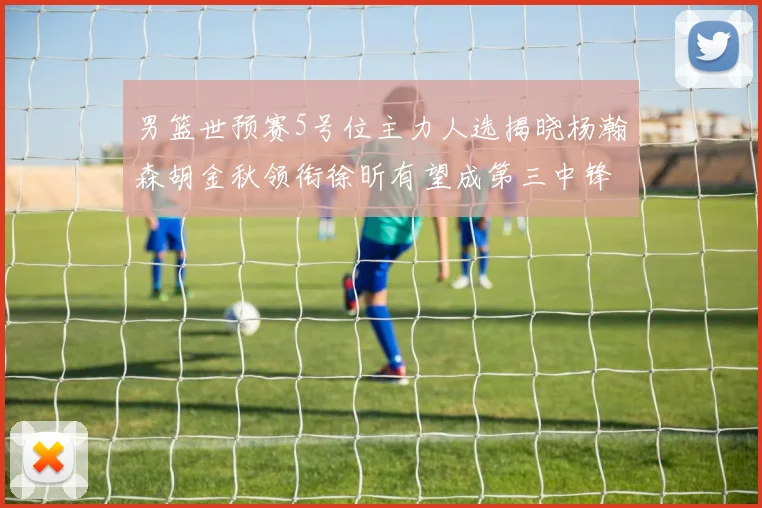 男篮世预赛5号位主力人选揭晓杨瀚森胡金秋领衔徐昕有望成第三中锋